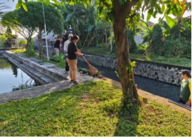 Kegiatan Jumat Bersih di Tukad Loloan