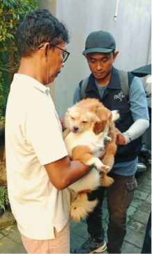 Kegiatan Safari Kesehatan Hewan di wilayah Kelurahan Renon